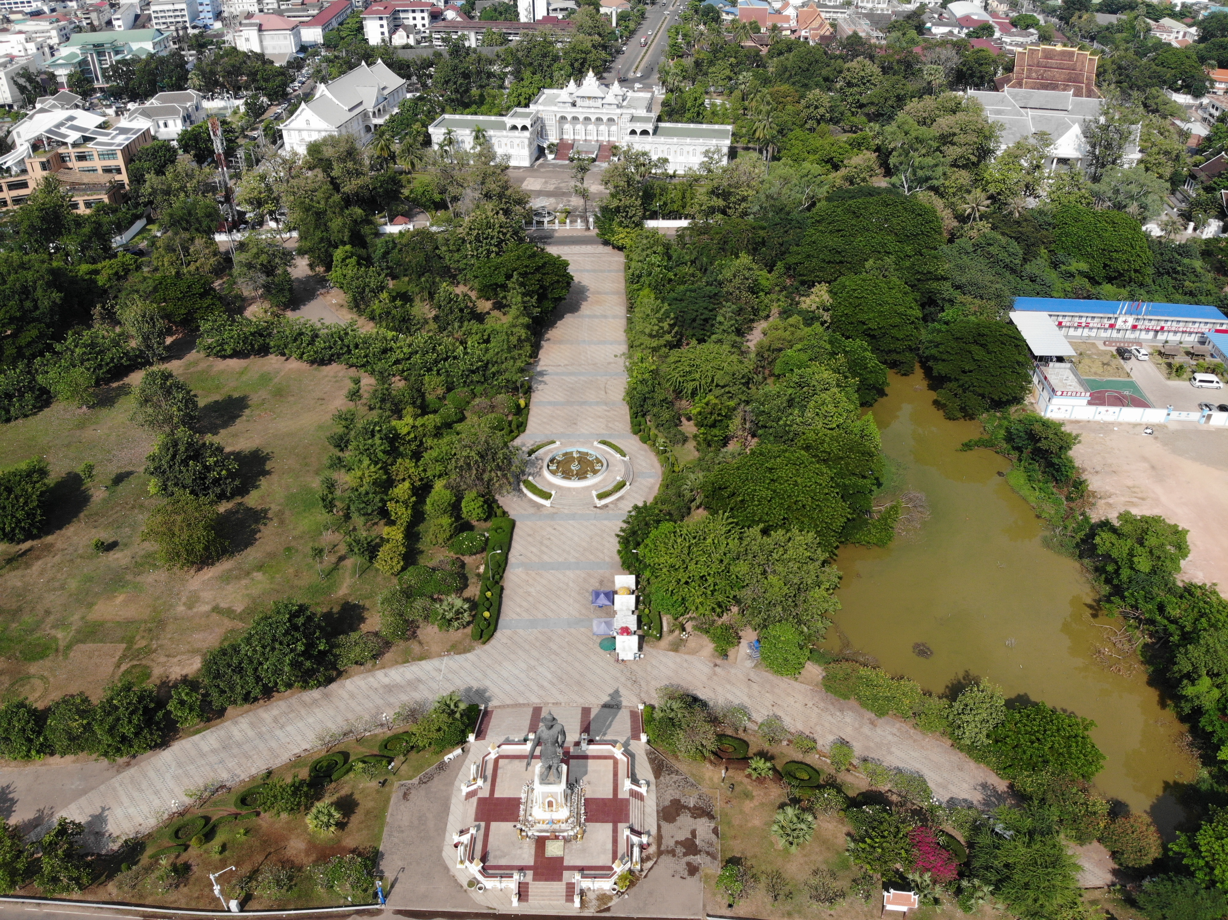 ດອກຈຳປາ (Dok Champa) ດອກໄມ້ປະຈຳຊາດລາວໃນສວນ